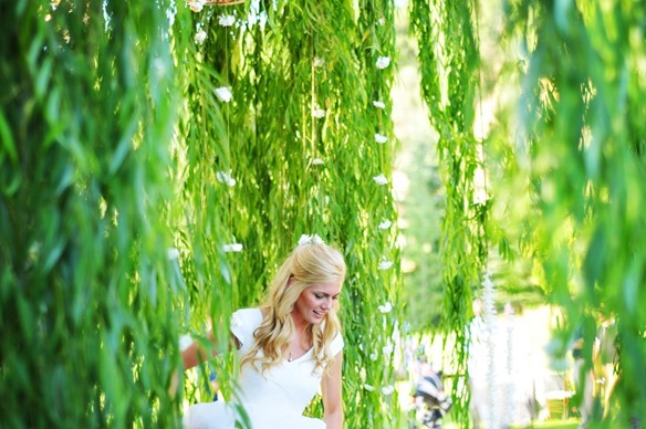 Wedding Weeping Willow