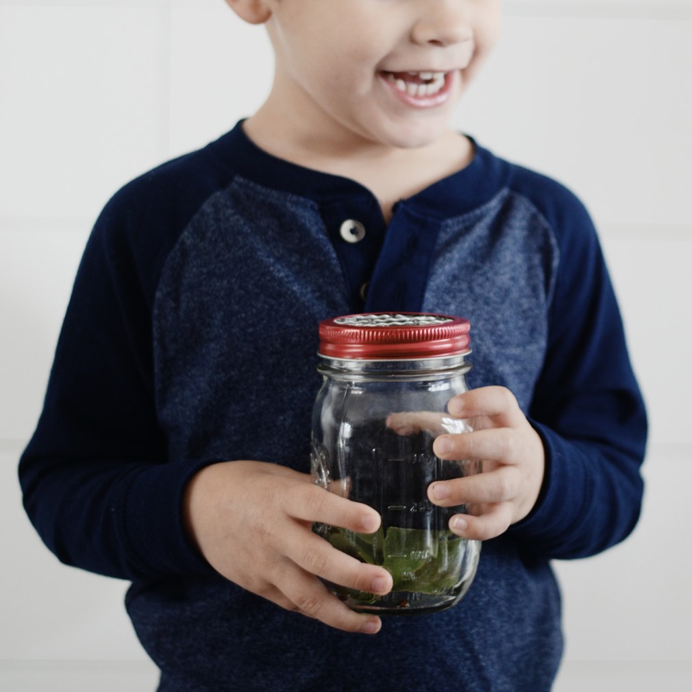 catching bugs toddler jar