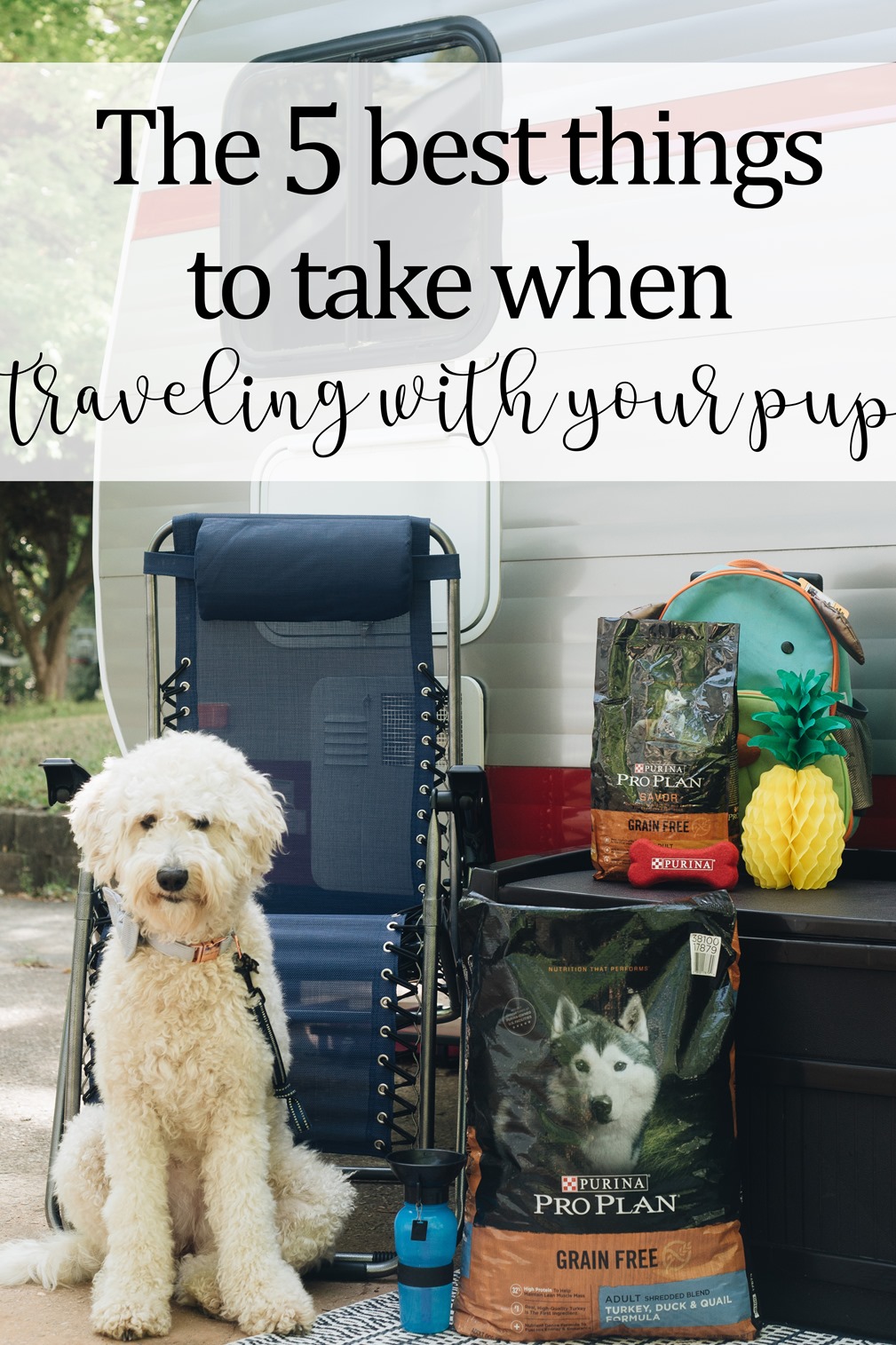 what to take when traveling with dog