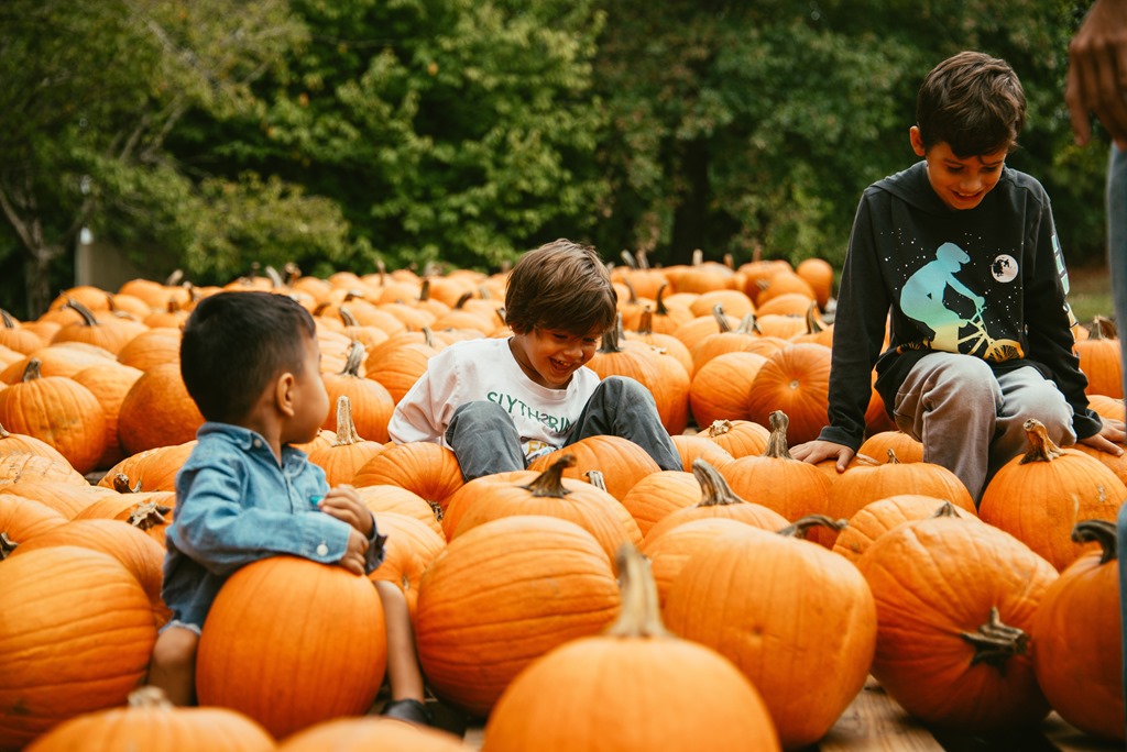 Kids Pumpkin — Sip&Gogh