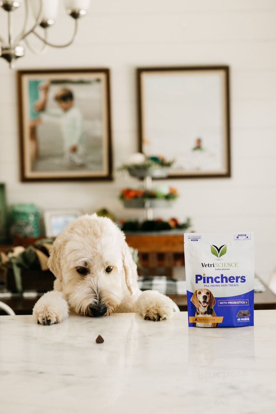 Pinchers Dog Treats